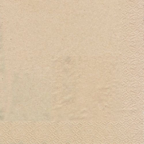 Tovaglioli (carta tissue BIO), 16,5 x 16,5 cm 2