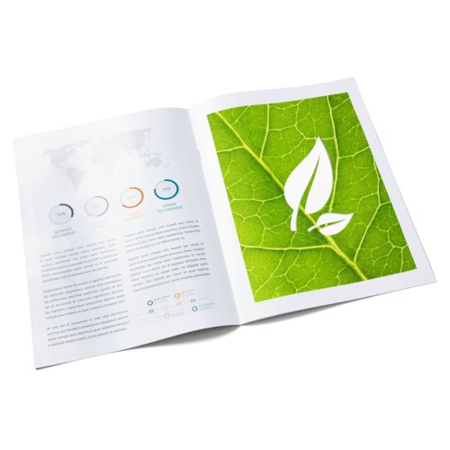 Brochure in carta naturale con rilegatura a punto metallico.