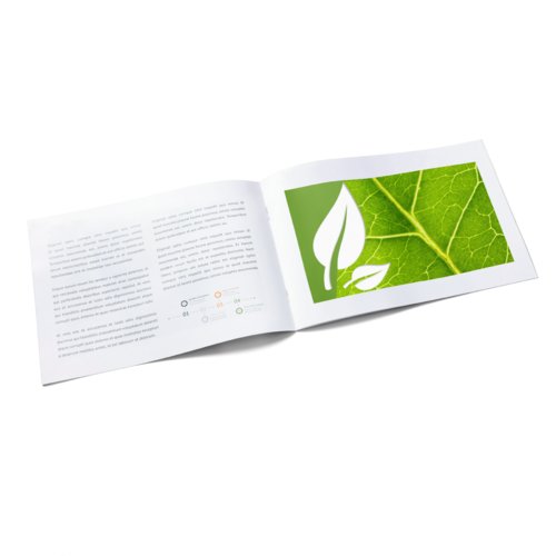Brochure in carta naturale con pi pagine e rilegatura a punto metallico.