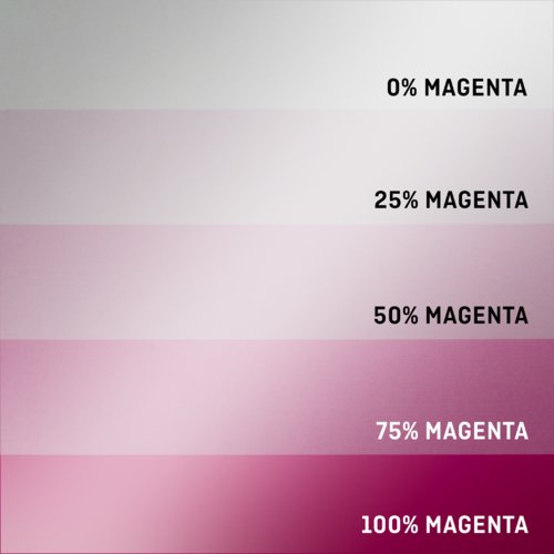 Volantini con colori d'effetto, Maxi, stampa fronte/retro 10