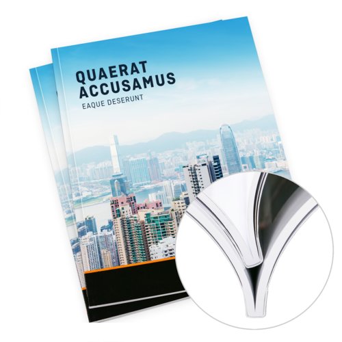 Brochure con rilegatura a colla.