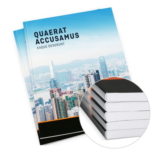 Brochure in carta con rilegatura adesiva.