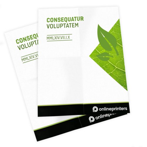 Manifesti e Locandine in carta ecologica/naturale, A2 halb, stampa solo fronte 3