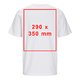 T-shirt bianca in cotone con maniche corte e collo rotondo, taglio unisex.