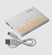 Powerbank Pineville
