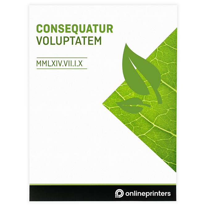 Manifesti e Locandine in carta ecologica/naturale