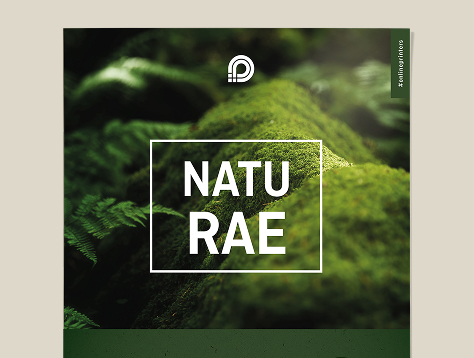 Manifesti e Locandine in carta ecologica/naturale