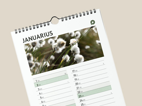 Calendari da parete con spirale 