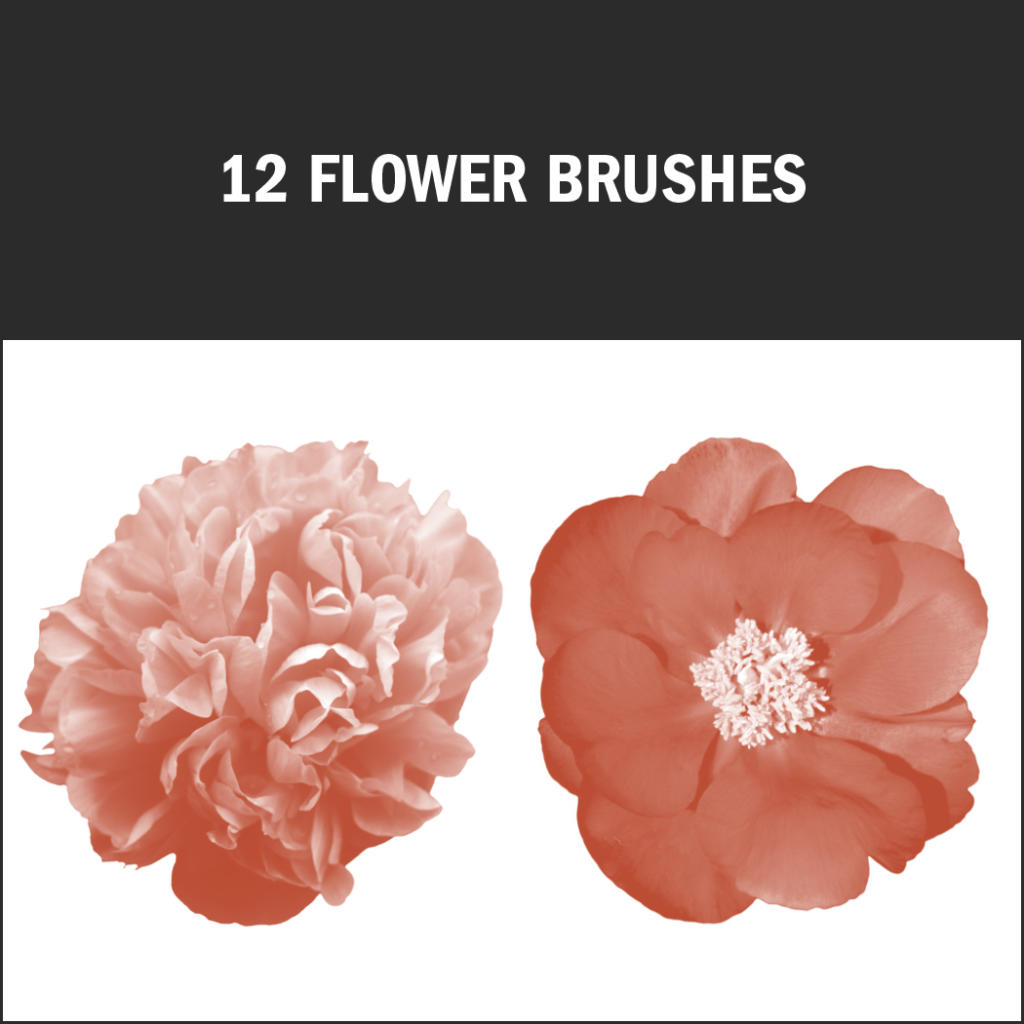 Due illustrazioni di fiori arancioni su uno sfondo bianco, con il testo in alto che recita "12 Flower Brushes". Il fiore a sinistra ha petali densi, mentre quello a destra è più aperto. Questi deliziosi pennelli Photoshop gratuiti sono perfetti per aggiungere eleganza floreale ai tuoi design.