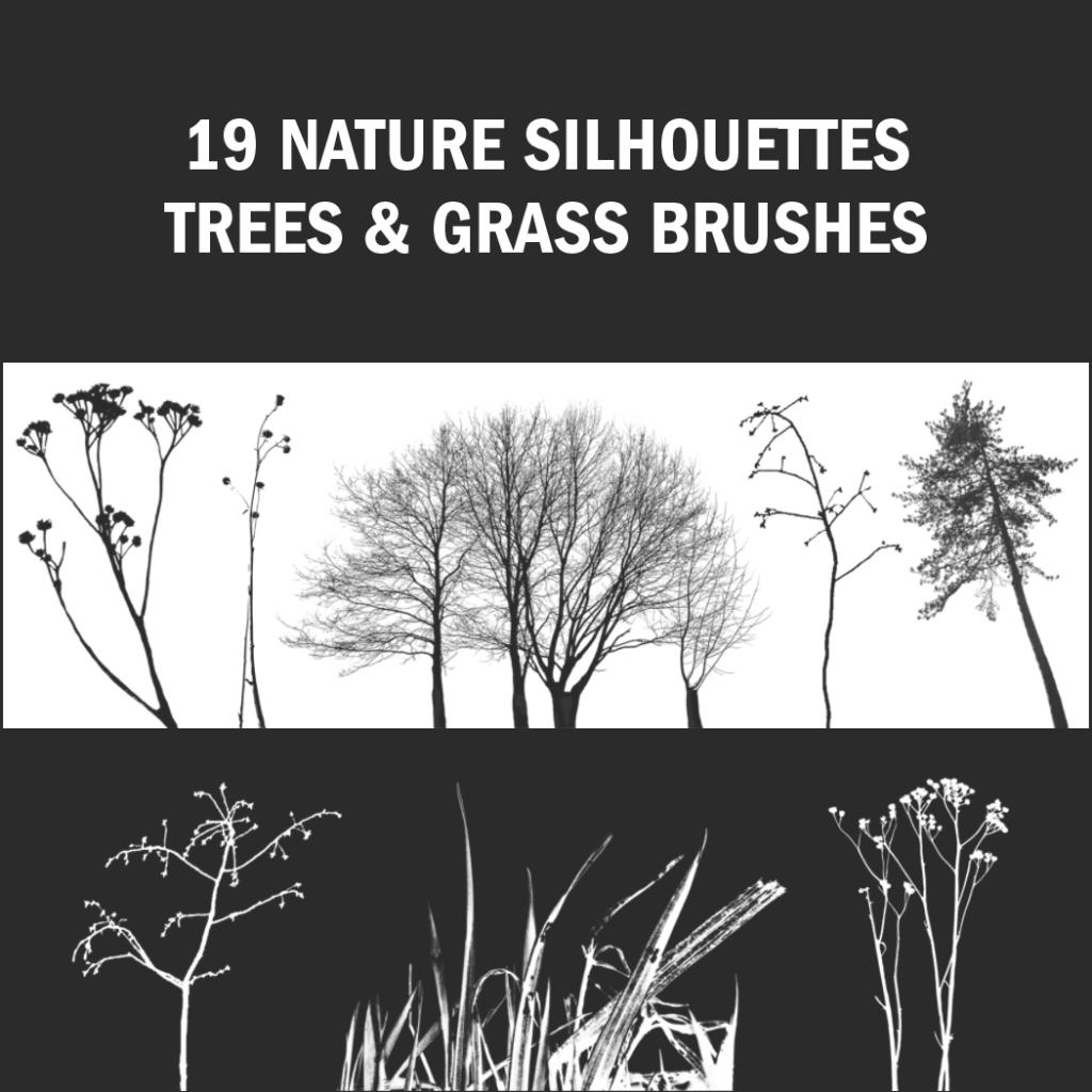 Silhouette di vari alberi ed erbe su uno sfondo bianco. Il testo in alto recita 19 Nature Silhouettes Trees & Grass Brushes. Questo design presenta diverse forme di alberi ed erbe in nero, perfette come pennelli Photoshop gratuiti per i tuoi progetti creativi.
