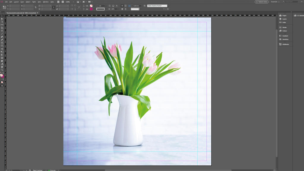 Screenshot di un software di fotoritocco che mostra tecniche di taglio del contorno su un'immagine di tulipani rosa in una brocca di ceramica bianca su uno sfondo chiaro. L'interfaccia rivela vari strumenti di modifica e opzioni che circondano l'immagine.