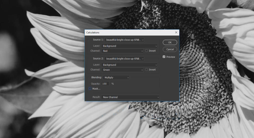 Un primo piano in bianco e nero di un girasole, con i suoi petali e semi in mostra, appare in una finestra software etichettata Calcoli in Photoshop. Le opzioni per le impostazioni di origine, livello, canale, fusione e opacità sono chiaramente visibili.