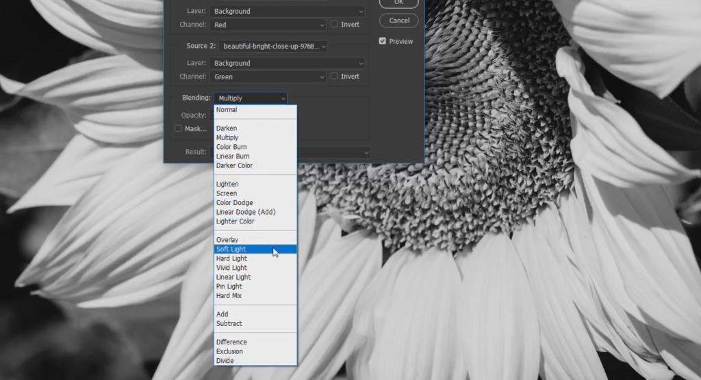 Un'immagine ravvicinata in bianco e nero di un girasole con sovrapposizione di software di editing digitale. Il software Photoshop visualizza livelli e opzioni di modalità di fusione, con Soft Light selezionato dal menu a discesa.