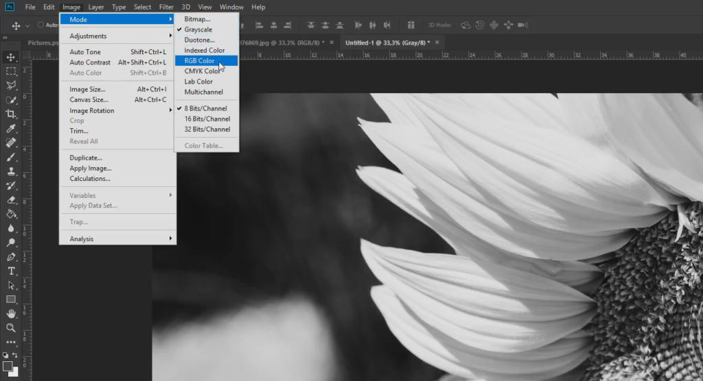 In bianco e nero, un petalo di girasole adorna lo schermo del computer che esegue un software di modifica delle immagini. L'interfaccia di Photoshop è visibile, e mostra opzioni di menu come File, Modifica e Immagine in alto.