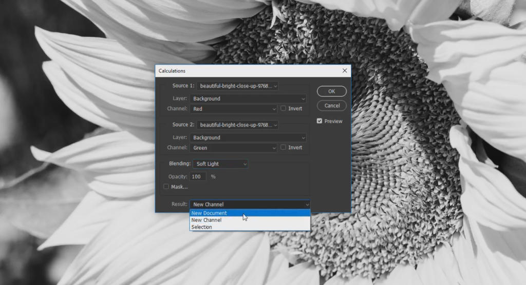 Un primo piano in bianco e nero di un girasole è meticolosamente realizzato in Photoshop. Appare una finestra di dialogo intitolata Calcoli, che presenta le opzioni per Sorgente 1 e 2, Livello, Canali e Fusione. Un menu a discesa mostra Nuovo documento selezionato.