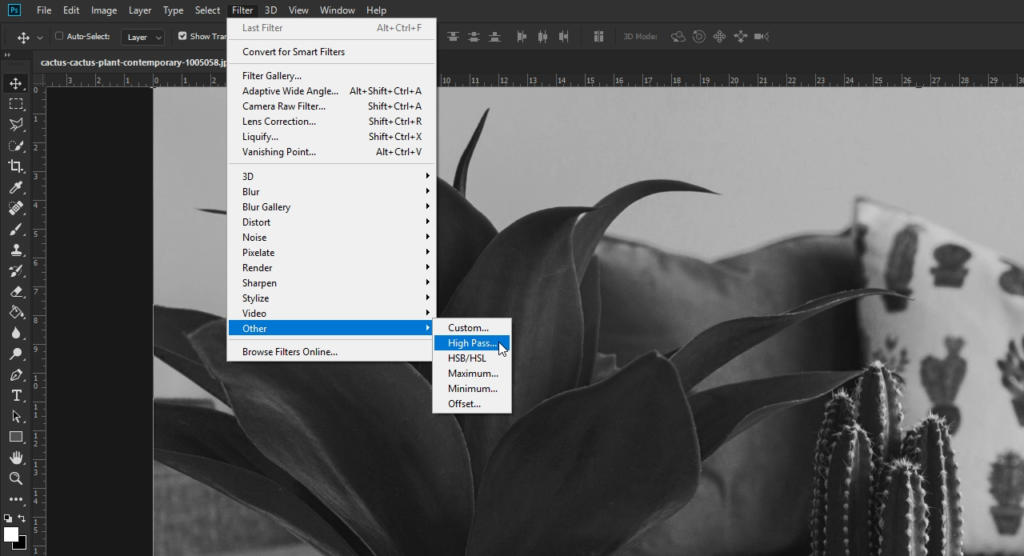 L'immagine in bianco e nero mostra uno schermo di computer con un software di fotoritocco. Il menu Filtro è aperto, con il cursore che si sposta su "filtro passa alto" nel sottomenu Altro. Sullo sfondo, una pianta aggiunge un tocco di natura alla scena digitale.