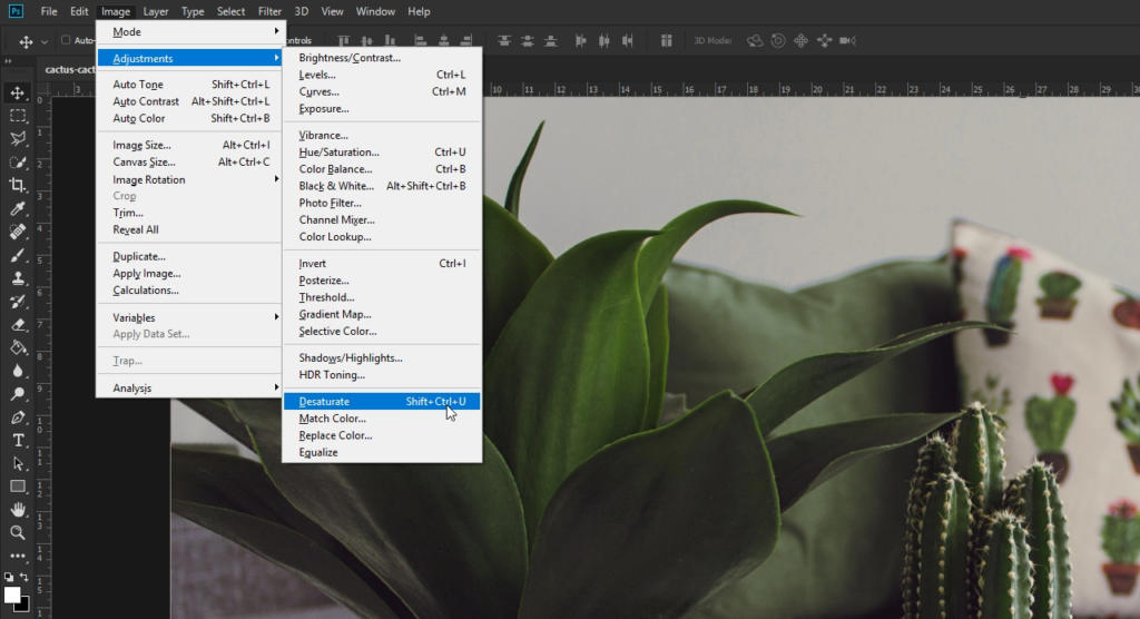 Uno schermo di computer mostra un software di editing di immagini aperto con un menu a discesa. Il menu evidenzia la sezione Regolazioni e seleziona Desatura, appena sopra l'opzione per filtro passa alto. Sullo sfondo, è visibile parte di una pianta verde.