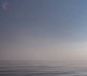 Un oceano calmo con dolci increspature si estende fino all'orizzonte sotto un cielo azzurro e terso, come un cinemagrafo vivente. L'acqua riflette i colori tenui della luce del primo mattino o del tardo pomeriggio, creando una scena serena e tranquilla.