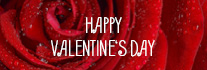 Primo piano di una rosa rossa con gocce di rugiada e la scritta "Buon San Valentino" in grassetto, lettere maiuscole bianche, che rappresentano un perfetto Valentinstag Vorlagen per le vostre celebrazioni romantiche.