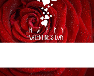 Un primo piano di una rosa rossa adornata da gocce di rugiada fa da sfondo al testo "Buon San Valentino". Sopra uno spazio rettangolare bianco, sono sparsi cuori bianchi di varie dimensioni, creando incantevoli Valentinstag Vorlagen per la tua festa.