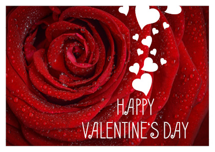 Primo piano di una rosa rossa ornata da gocce luccicanti, con un messaggio di Buon San Valentino. Forme di cuore bianco elegantemente sparse attorno al testo conferiscono un tocco di amore in più a questo splendido Valentinstag Vorlagen.