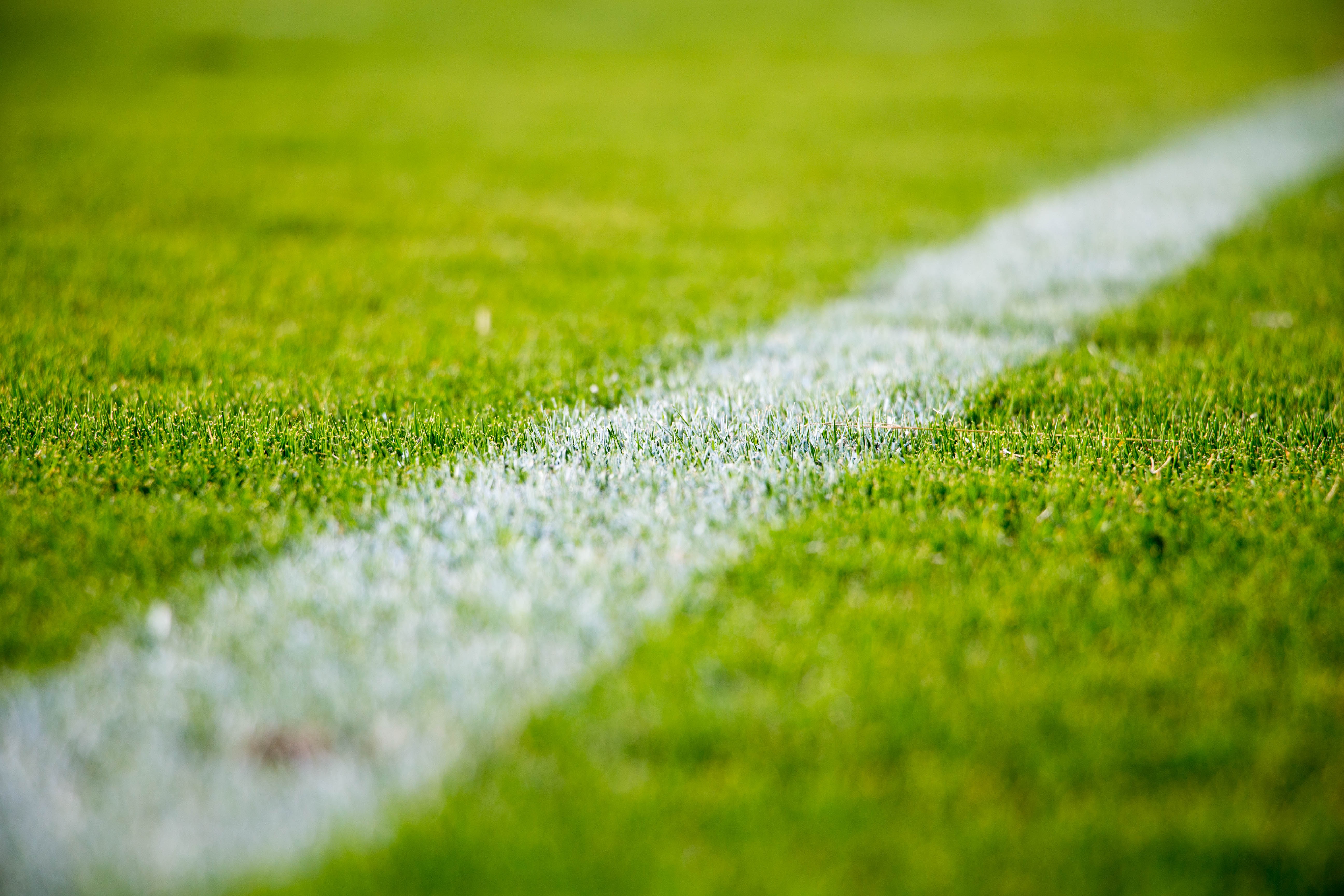 Primo piano di un campo sportivo in erba verde che mostra una linea dipinta di bianco che corre in diagonale, che ricorda lo spielplan EM 2021. L'erba rigogliosa e vibrante si staglia contro uno sfondo leggermente sfocato, catturando l'essenza dell'eccitazione del giorno della partita.